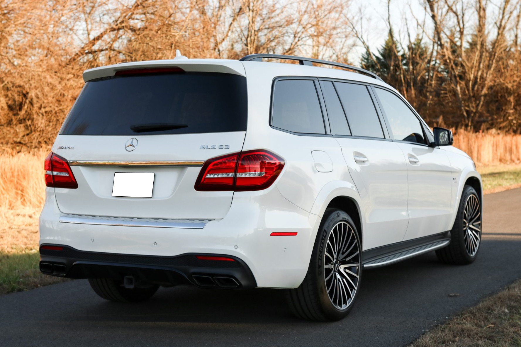 2018 Mercedes-AMG GLS63 4MATIC photo 1