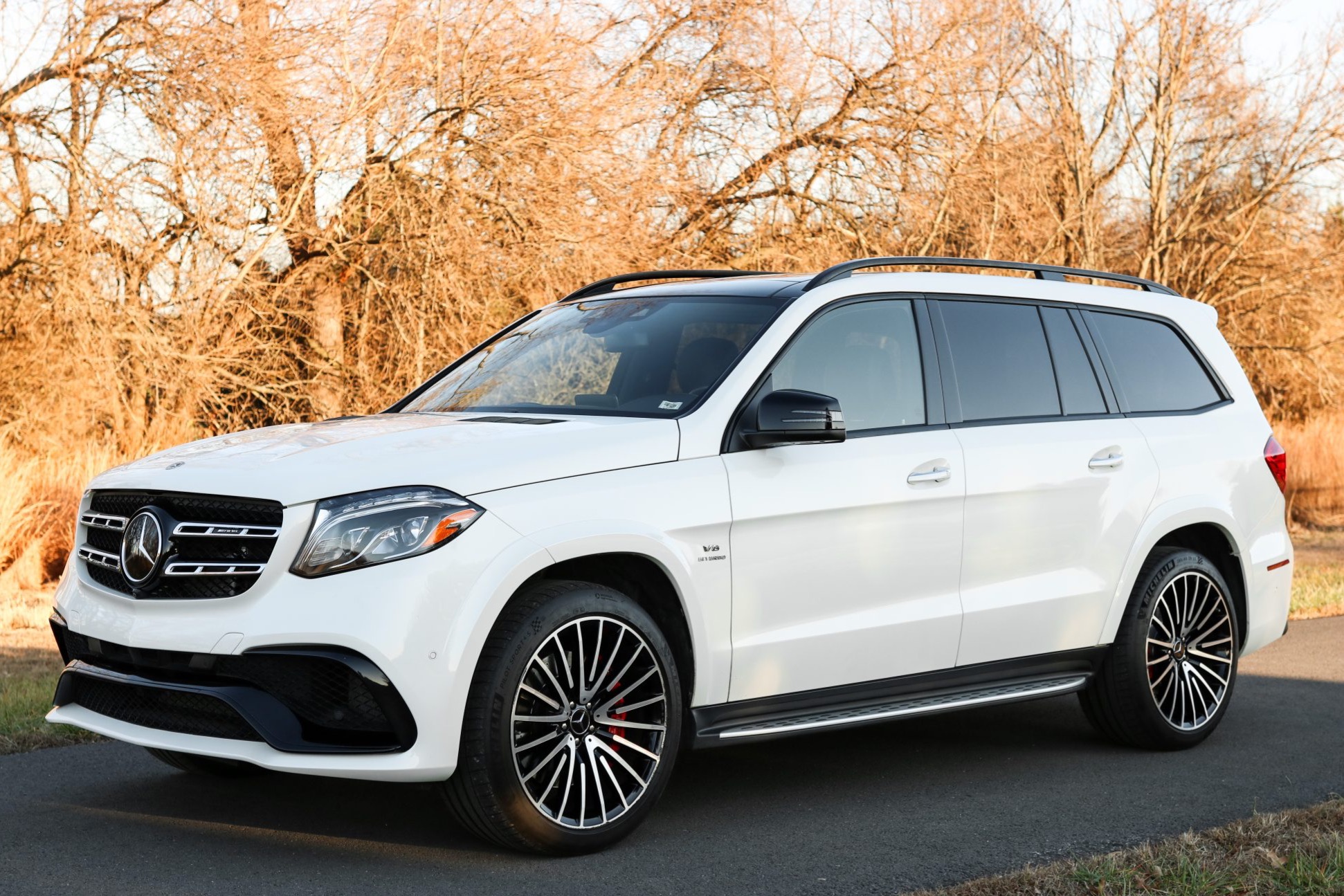 2018 Mercedes-AMG GLS63 4MATIC photo 2