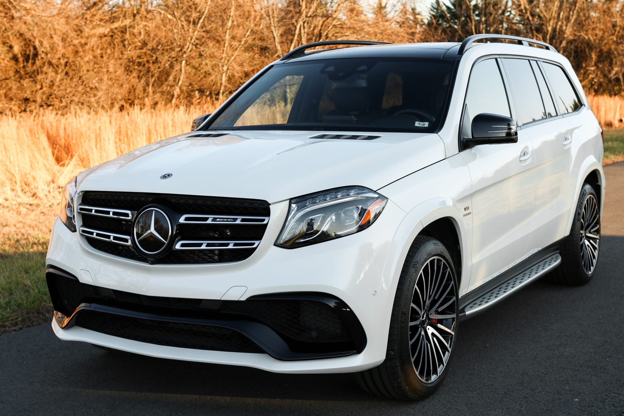 2018 Mercedes-AMG GLS63 4MATIC photo 6
