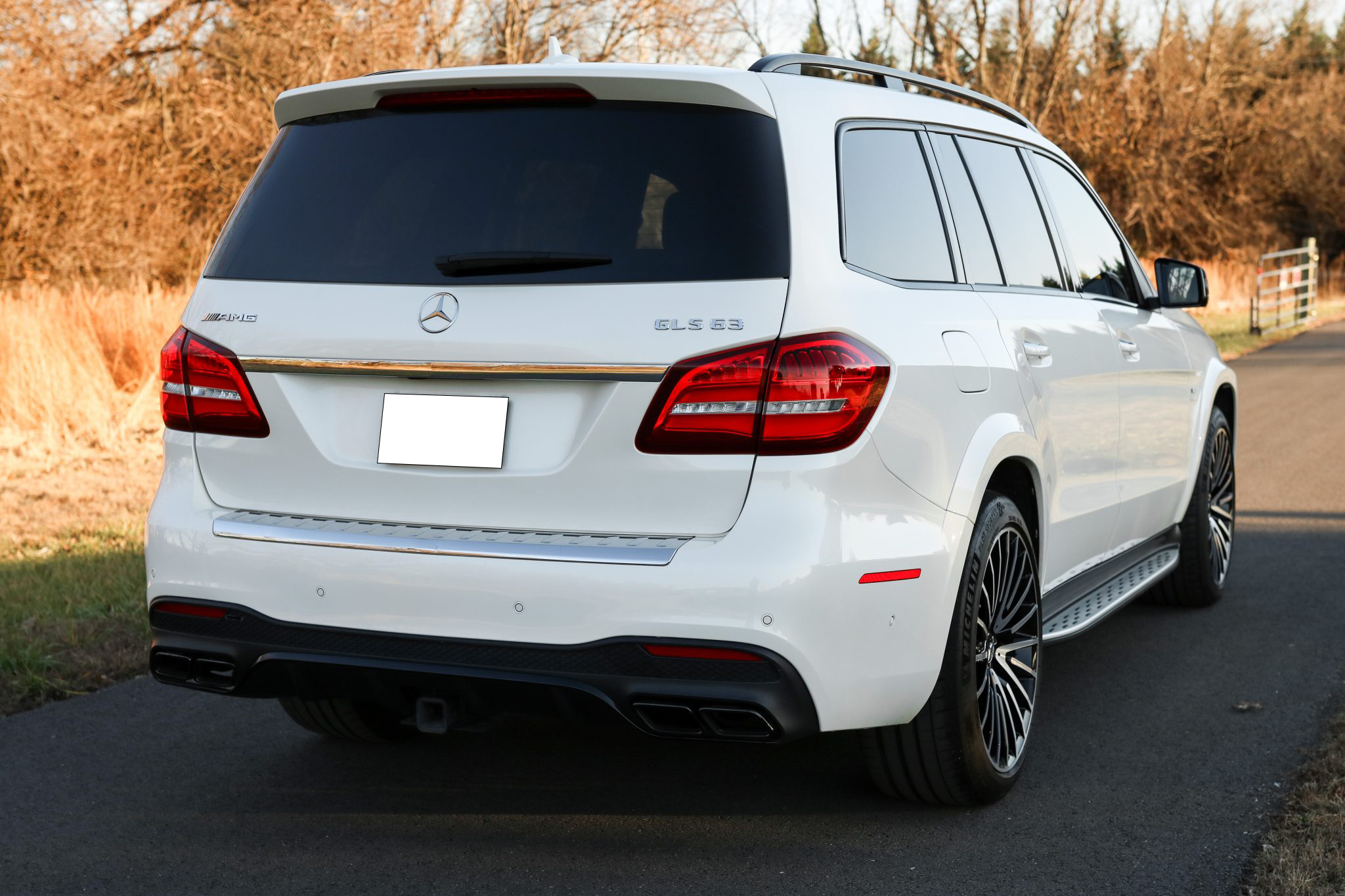 2018 Mercedes-AMG GLS63 4MATIC photo 7