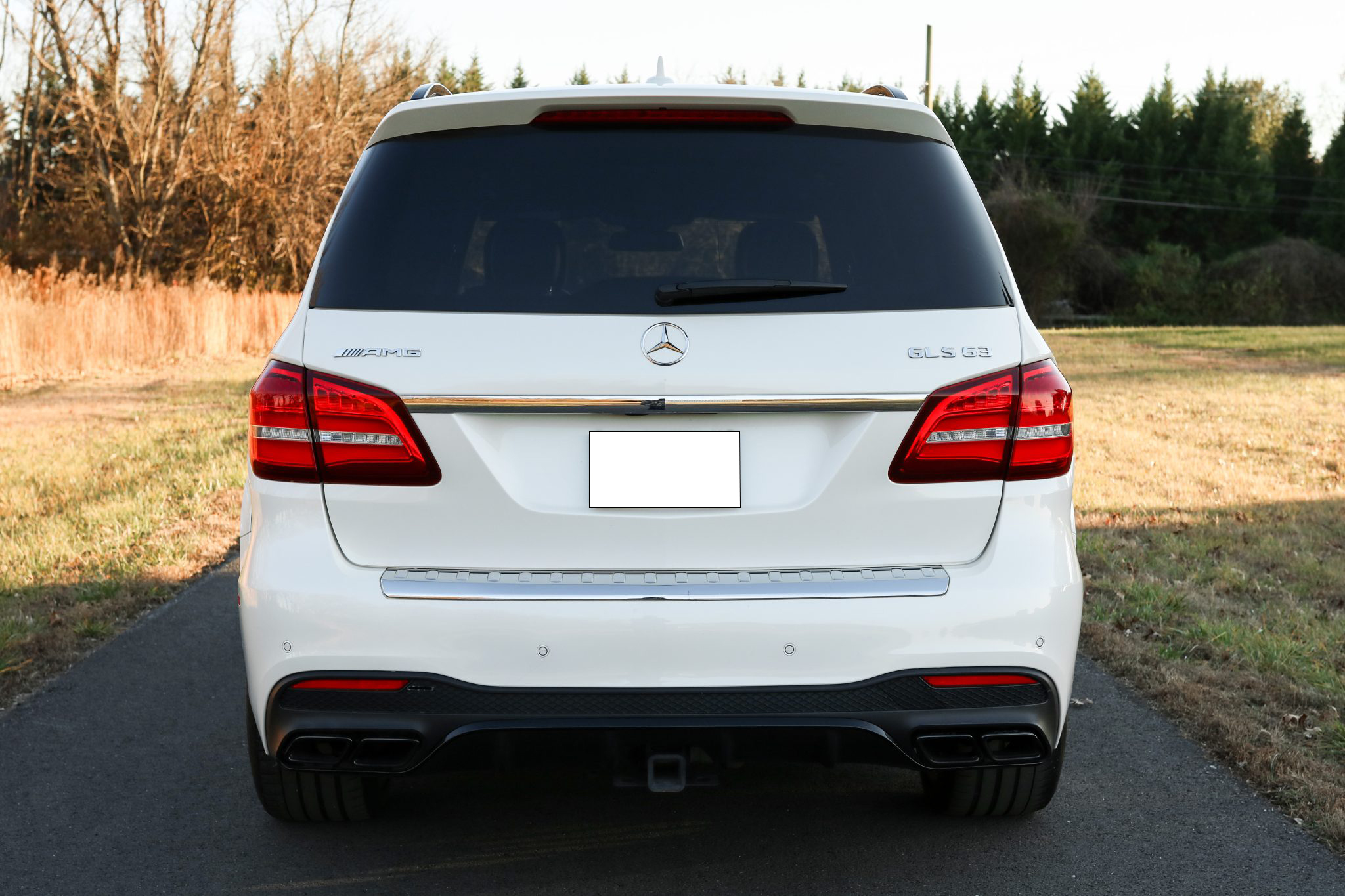 2018 Mercedes-AMG GLS63 4MATIC photo 9