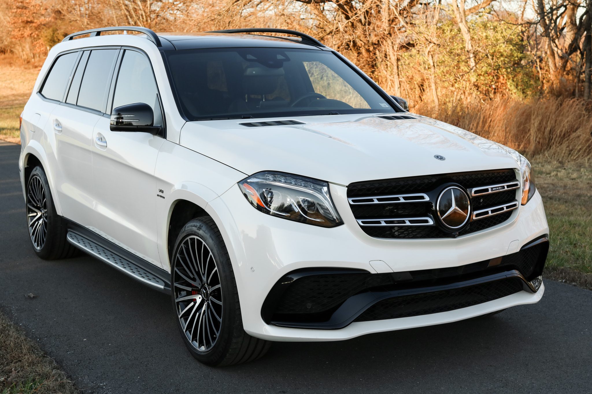 2018 Mercedes-AMG GLS63 4MATIC photo 12