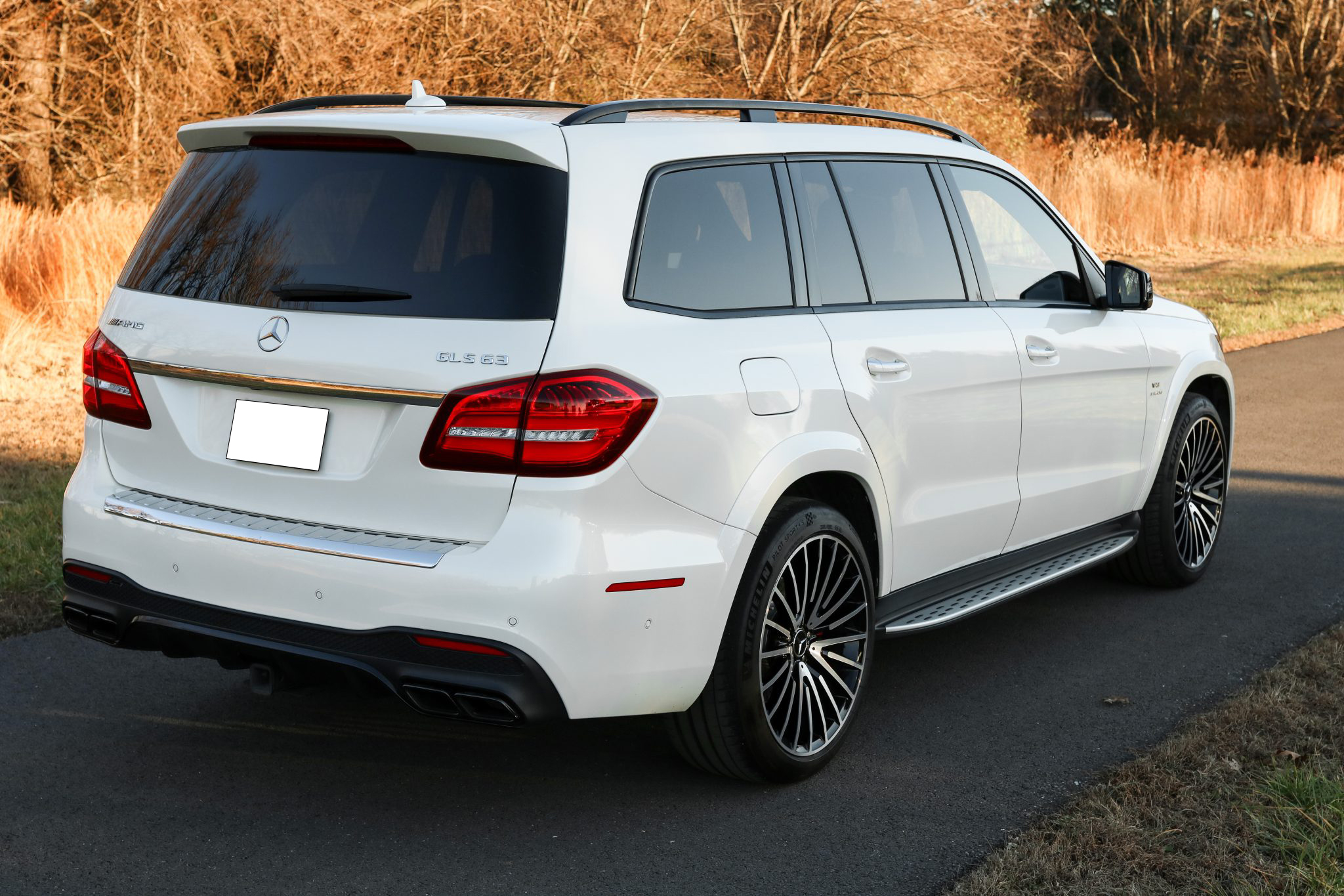 2018 Mercedes-AMG GLS63 4MATIC photo 13