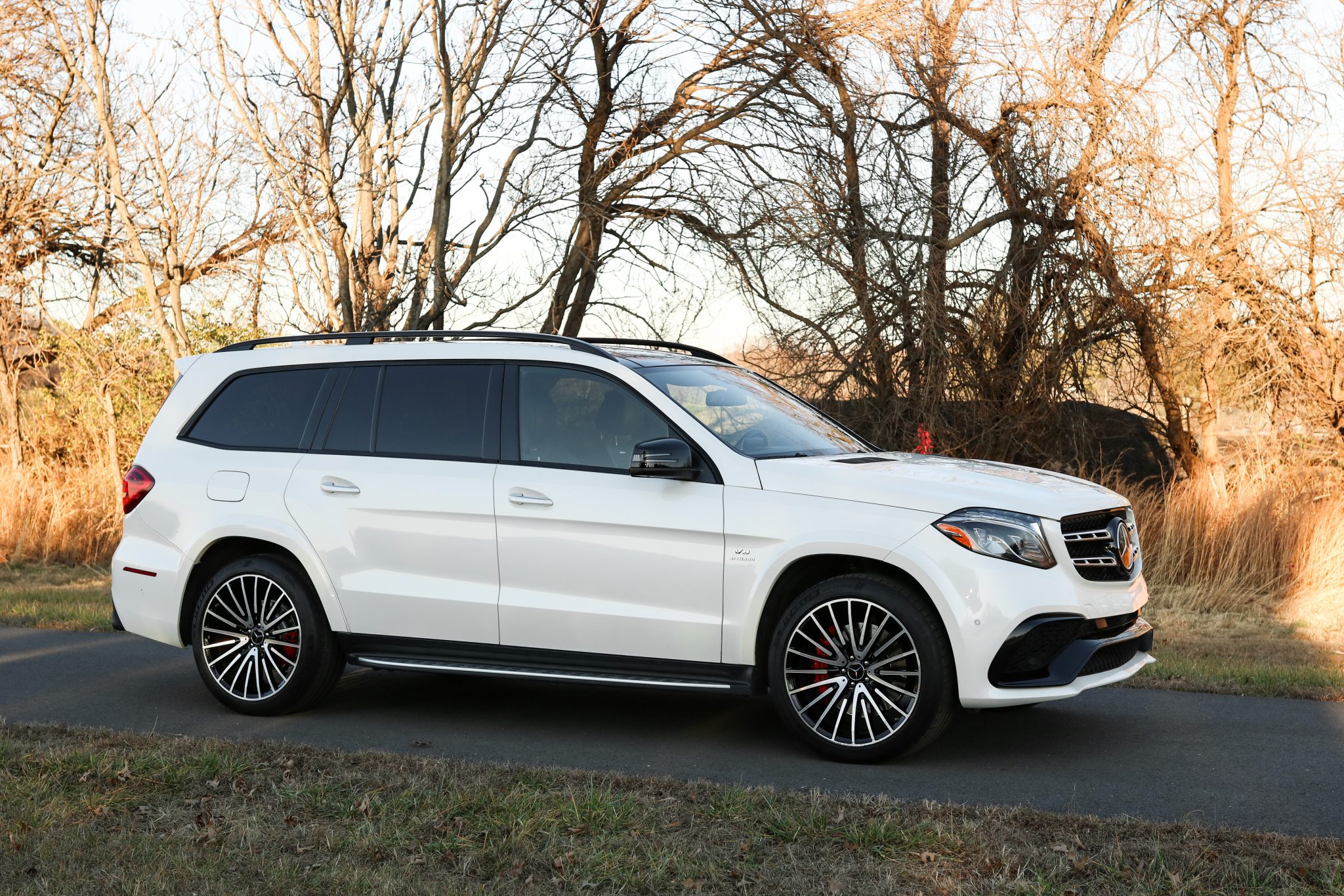 2018 Mercedes-AMG GLS63 4MATIC photo 14