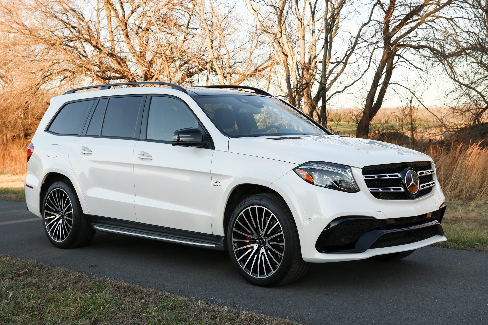 2018 Mercedes-AMG GLS63 4MATIC photo 15