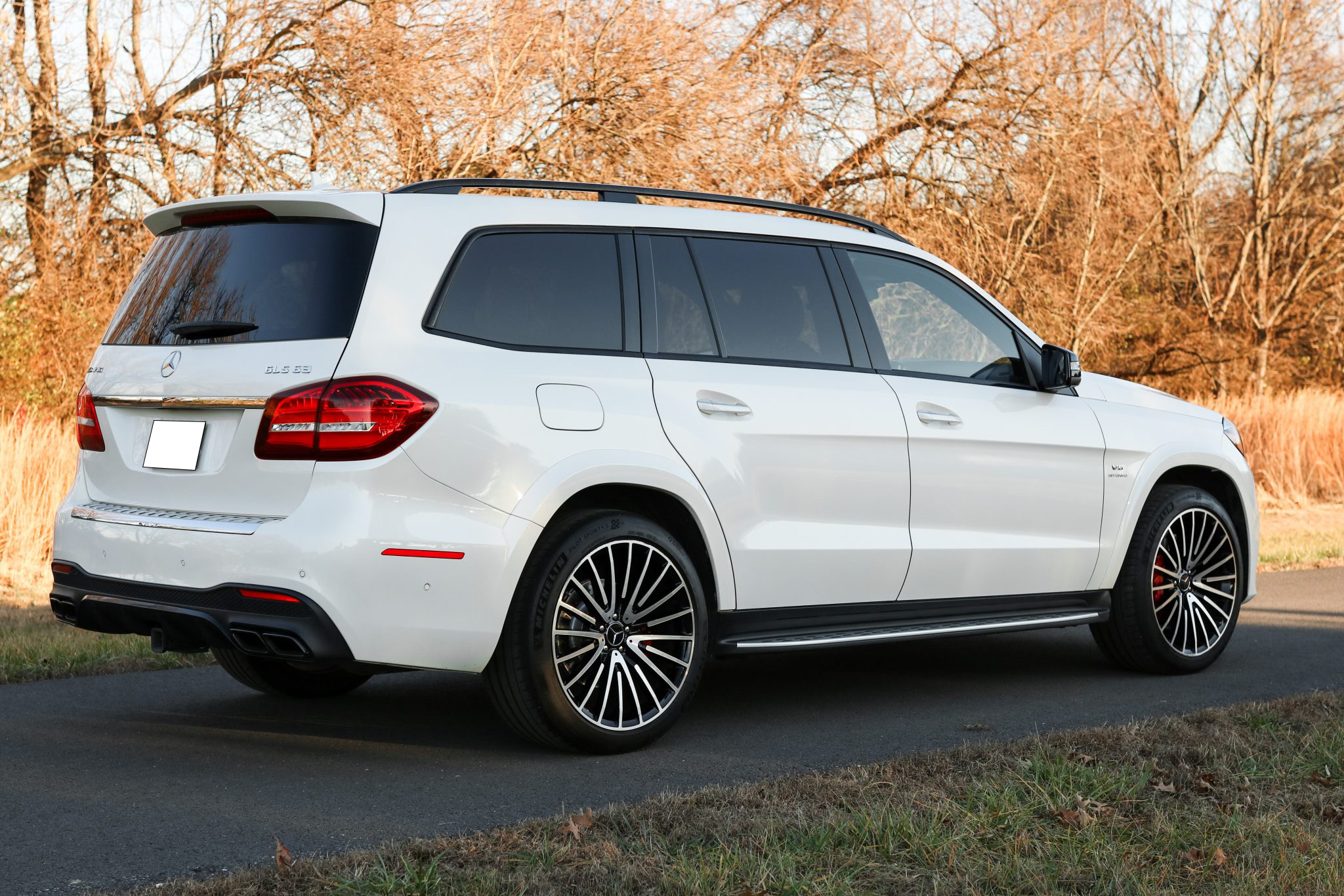 2018 Mercedes-AMG GLS63 4MATIC photo 16