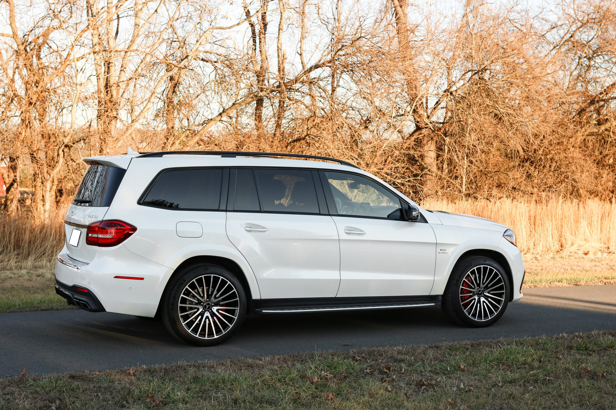 2018 Mercedes-AMG GLS63 4MATIC photo 17