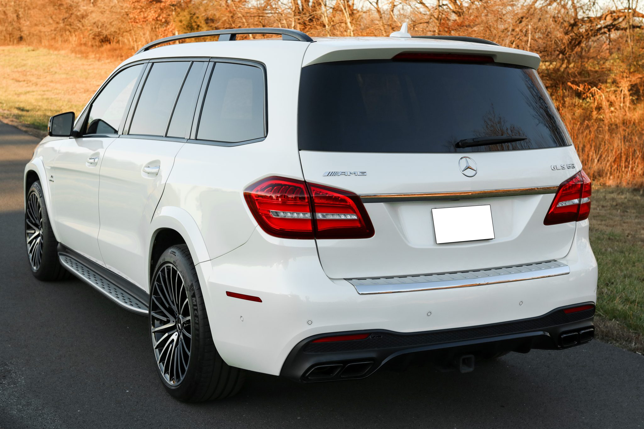 2018 Mercedes-AMG GLS63 4MATIC photo 19