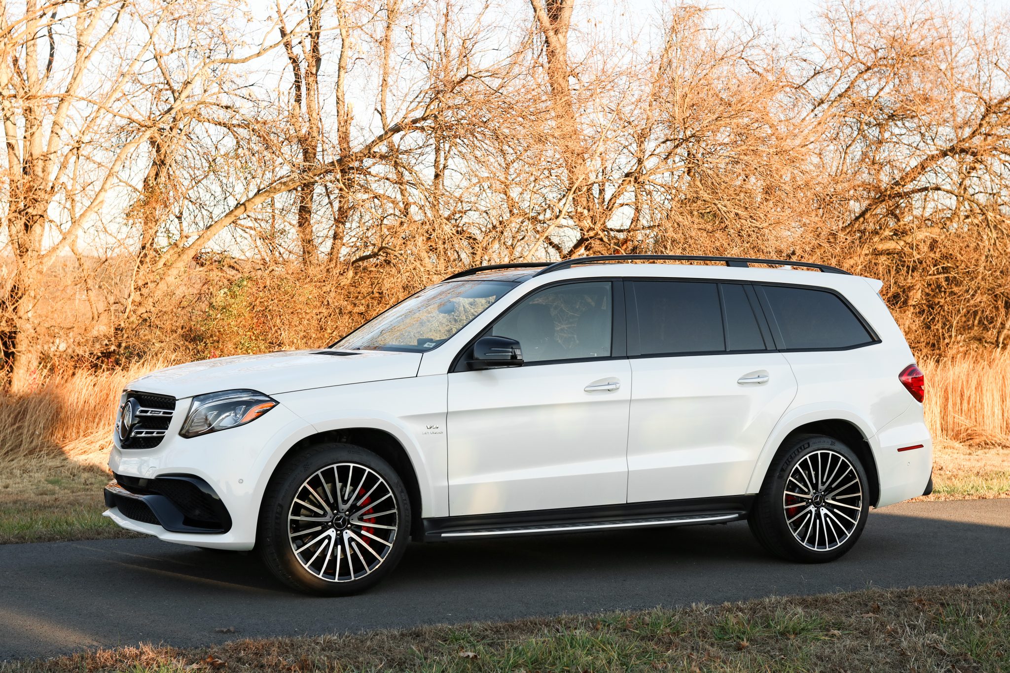 2018 Mercedes-AMG GLS63 4MATIC photo 20