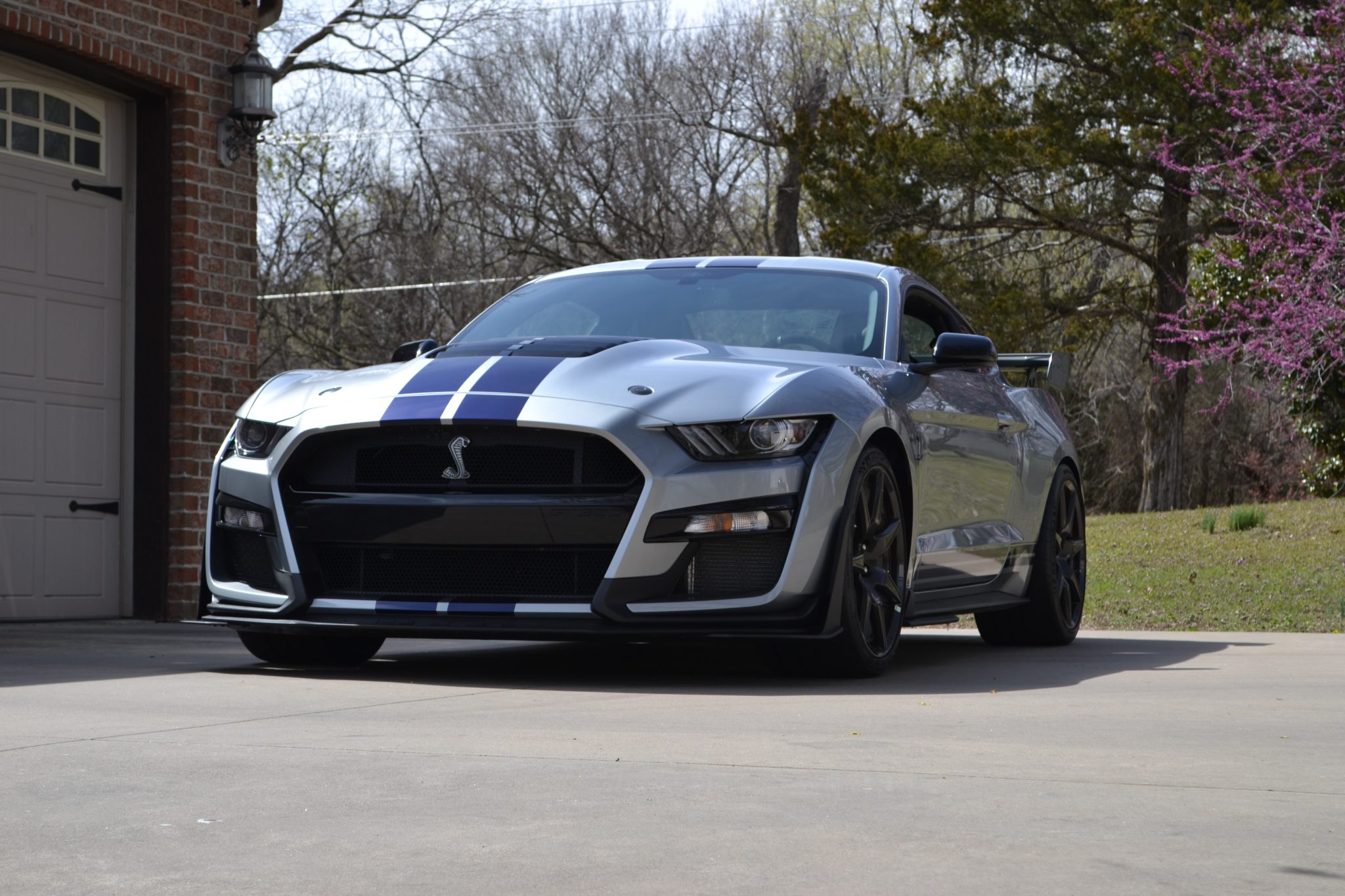 2021 Ford Mustang Shelby GT500 photo 1