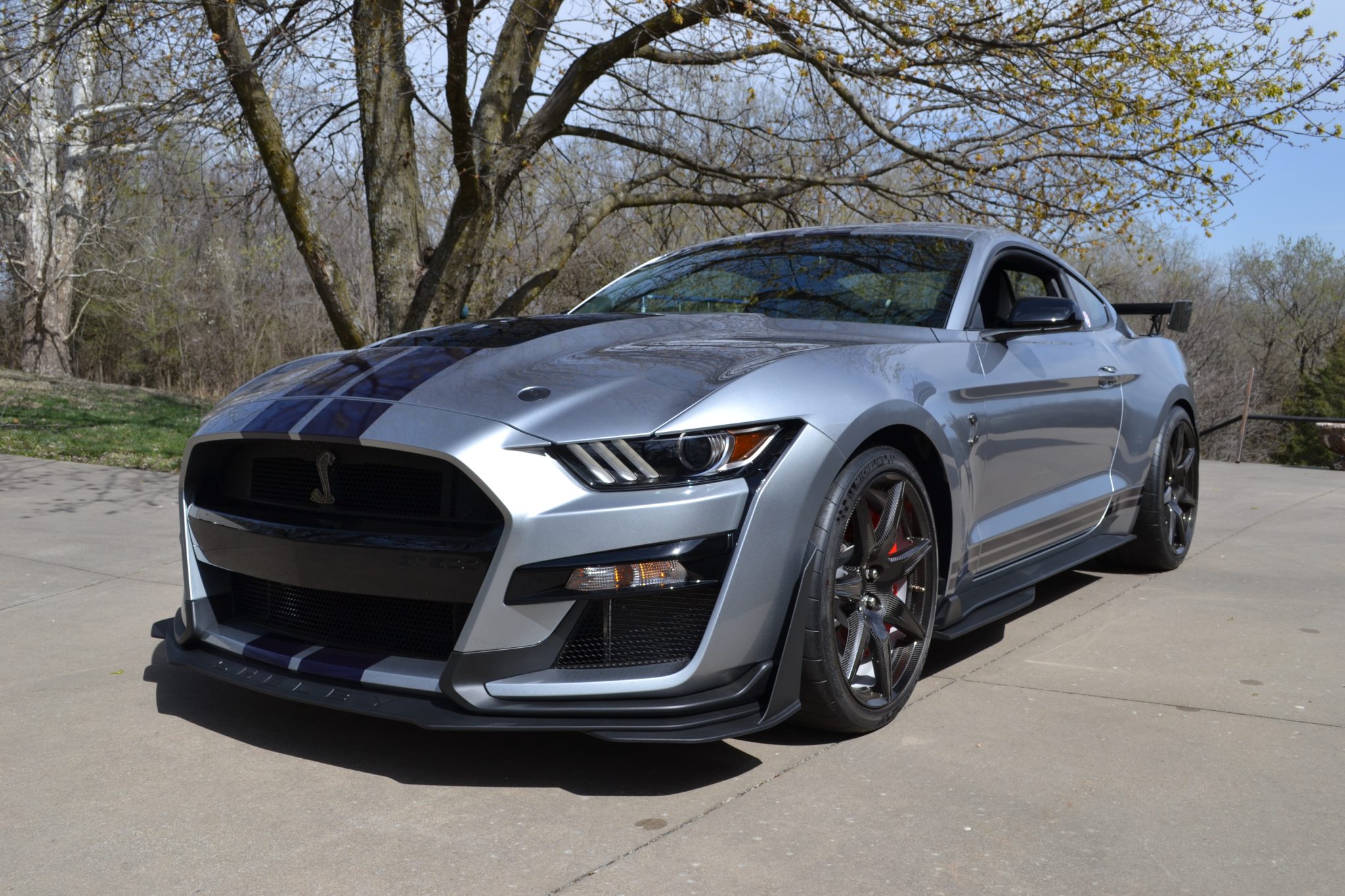 2021 Ford Mustang Shelby GT500 photo 11