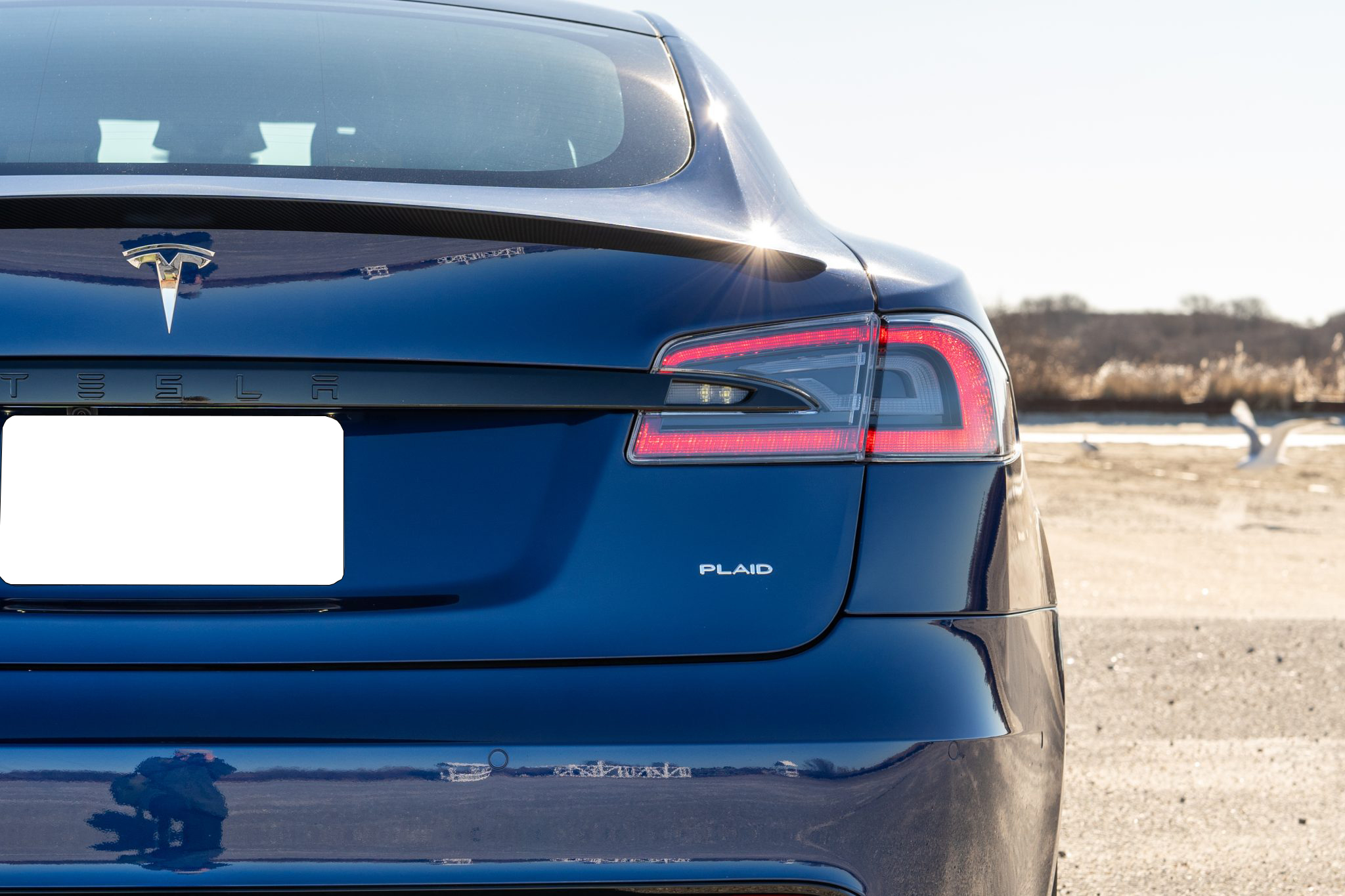 2021 Tesla Model S Plaid photo 11